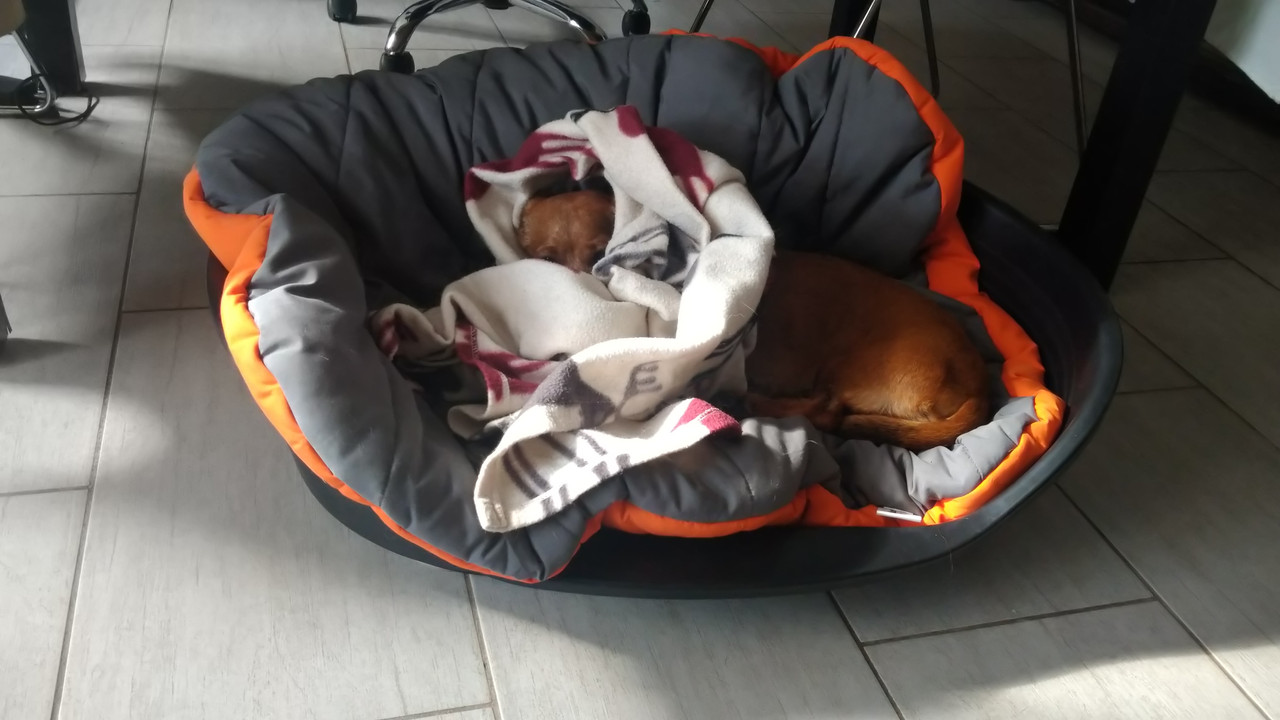 [Image: DSC-0636.jpg]