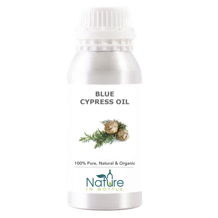 Blue Cypress Essential Oil Organic Callitris Intratropica
