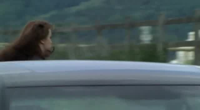 [Image: x4gi909grqtk.jpg]