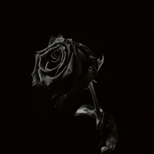 Viclan - Healing Wounds (2026) FLAC