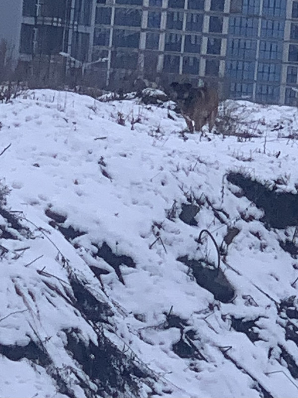 23F4713F-1DFE-4E30-9240-7DDC138EF6B0