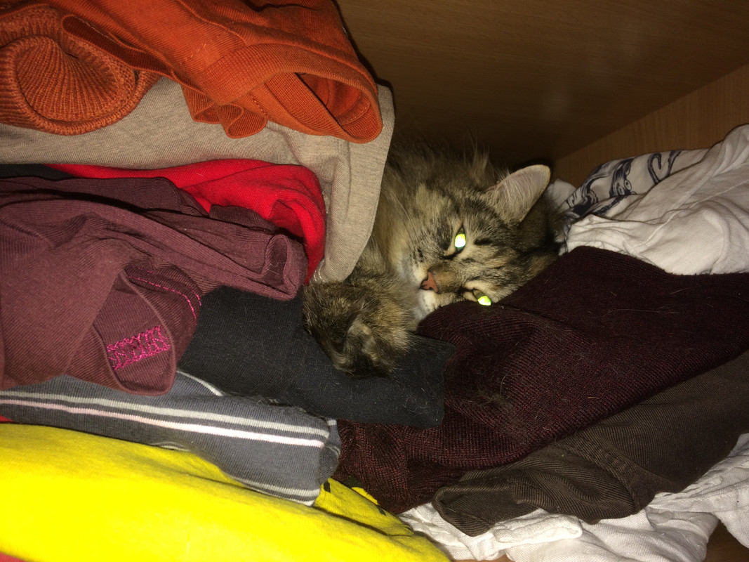 5F7C0503-D8B3-48AD-8778-AF796CBF2C8B