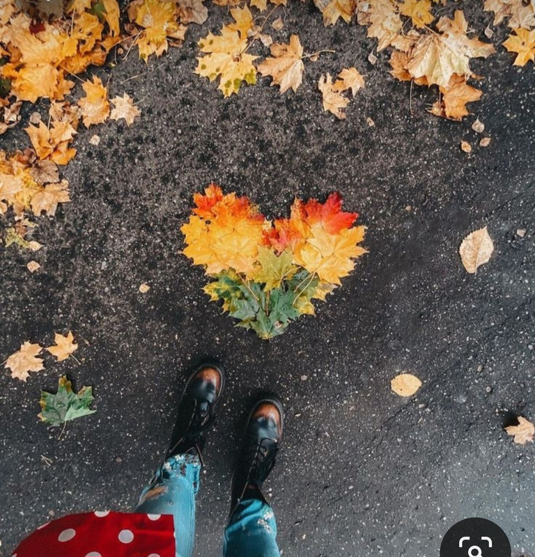 Screenshot_20231126_221102_Pinterest