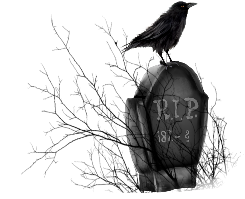 IPD_WP_Element (164)