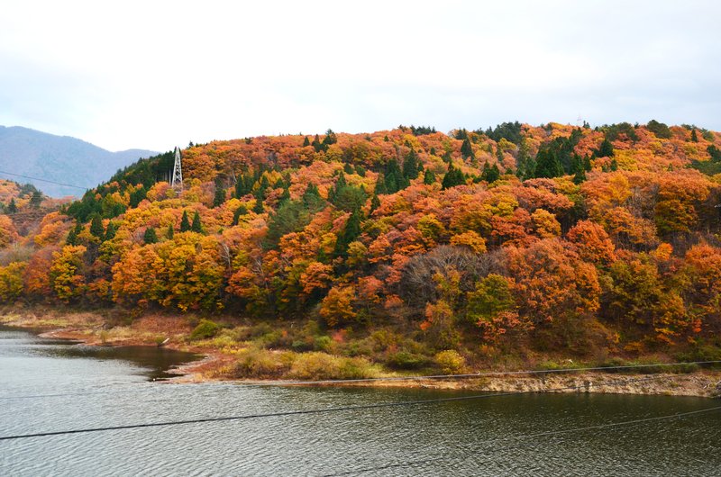 Ruta Nacional 158 Nogi Kaido-14-11-2024 - Japón y sus Pueblos-2024 (32)