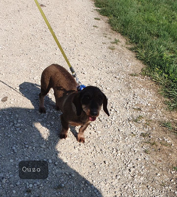 [Image: 20230707-073411.jpg]