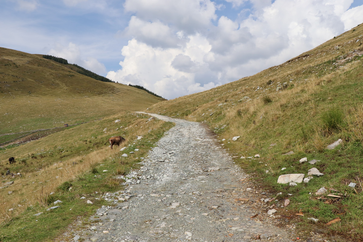 20220829114642_IMG_1202