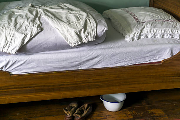 Bed-Bug-Treatment-12.jpg