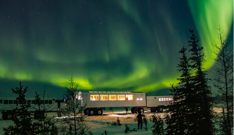 Canadá - Polar Bear Country • Churchill, Manitoba ✈️ Foro USA y Canadá