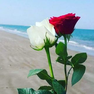 160328117_797779257614743_2490593121286976773_n