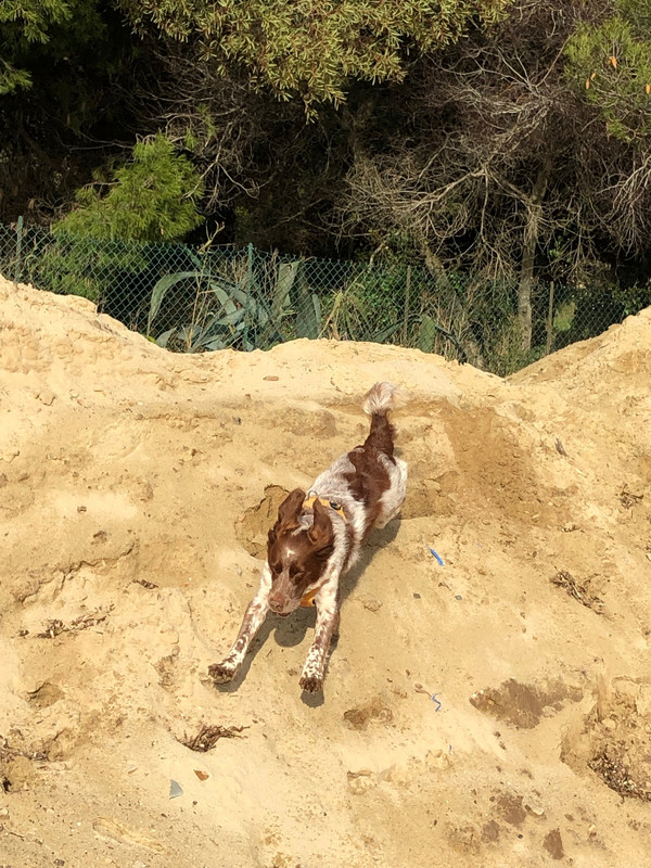 800C6973-E72D-403A-A28E-EAA6C9D43F09