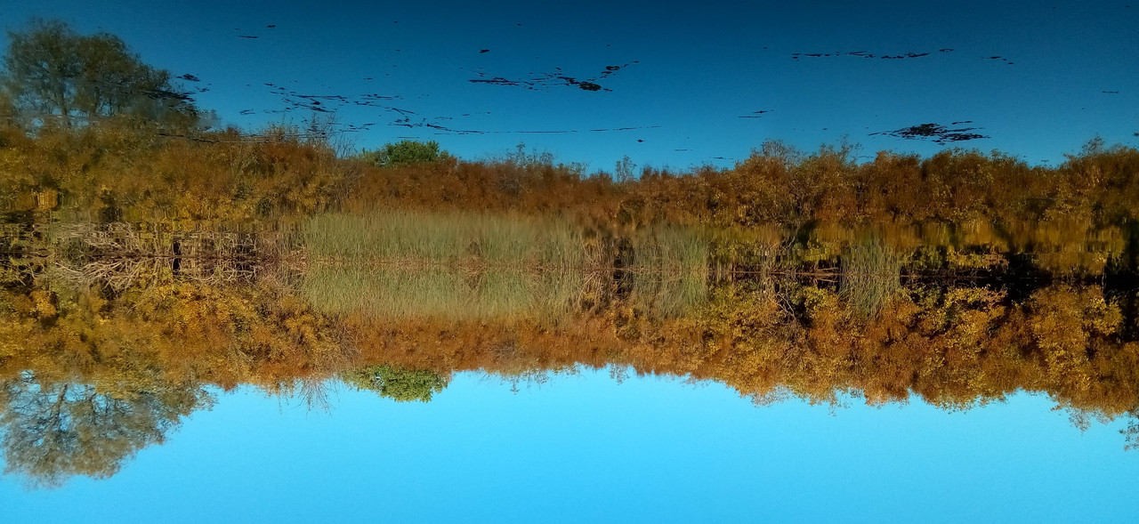 Up-Side-Down.jpg