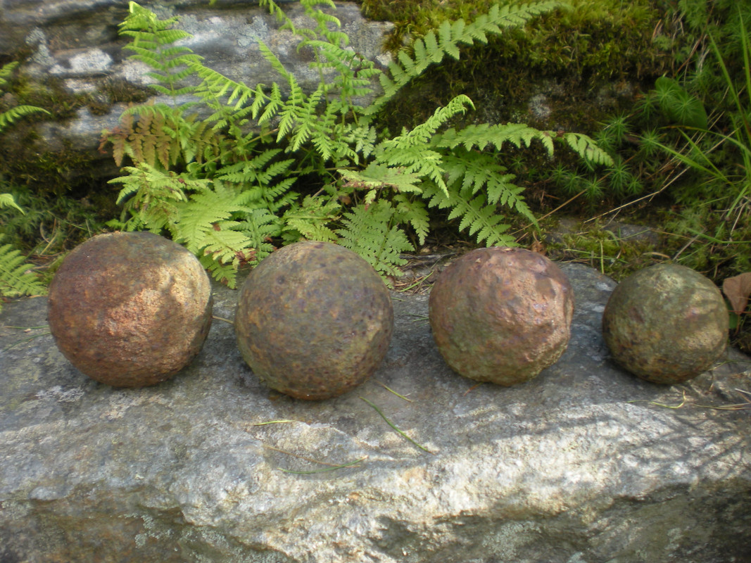 DSCN1029