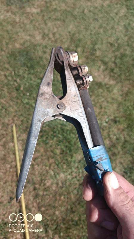 IMG_20240813_154444_605