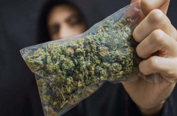 Образовательный материал о медицинском каннабисе