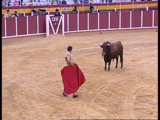 TCLM04-E291-VIA120210530-194951.jpg