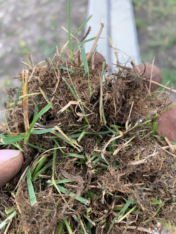 19115ECE-C5BA-4A5E-AEC7-82077223A2FF