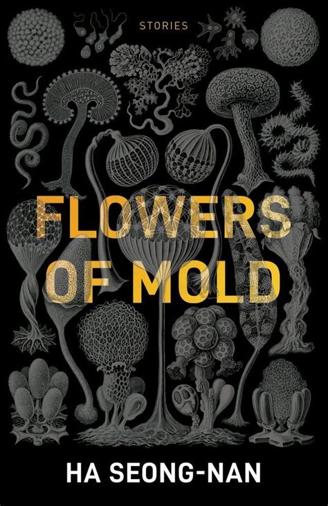 Ha Seong-nan, Janet Hong (Translator) Flowers of Mold