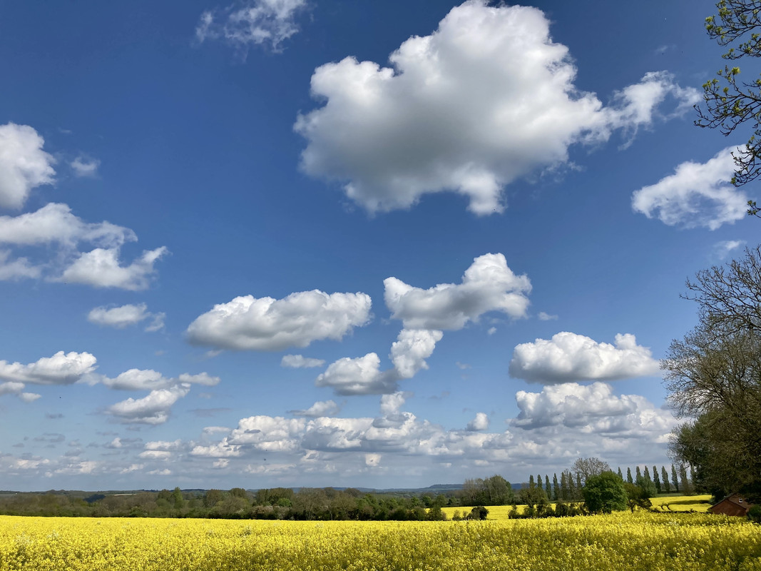 2194BD8C-7D4E-4AA5-994A-545F2F75FBFC