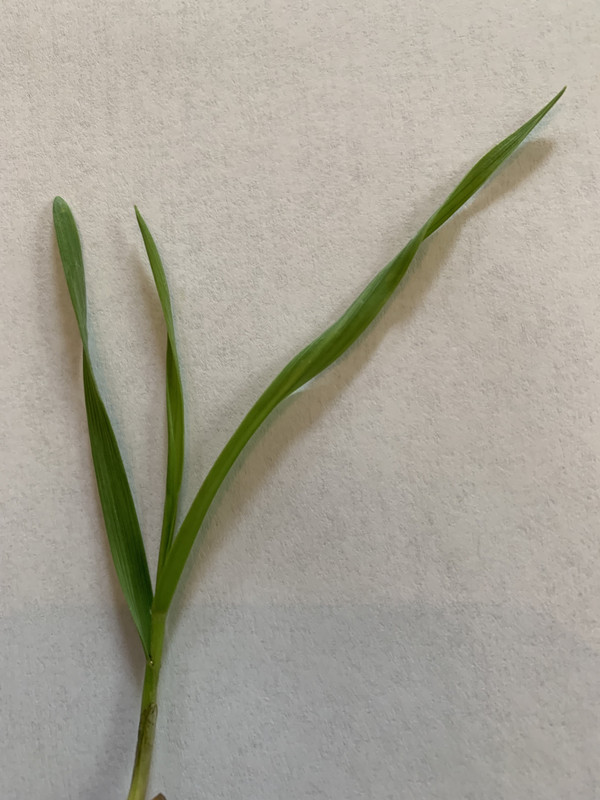 0W1jemsHS i4klXbncl9NA