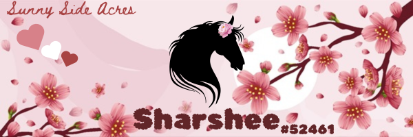 Horse-Banner.png