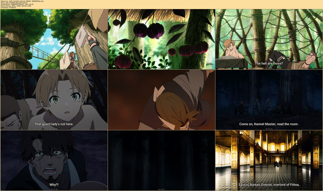 [HR] Mushoku Tensei S01E14 [5F52F1DA].mkv