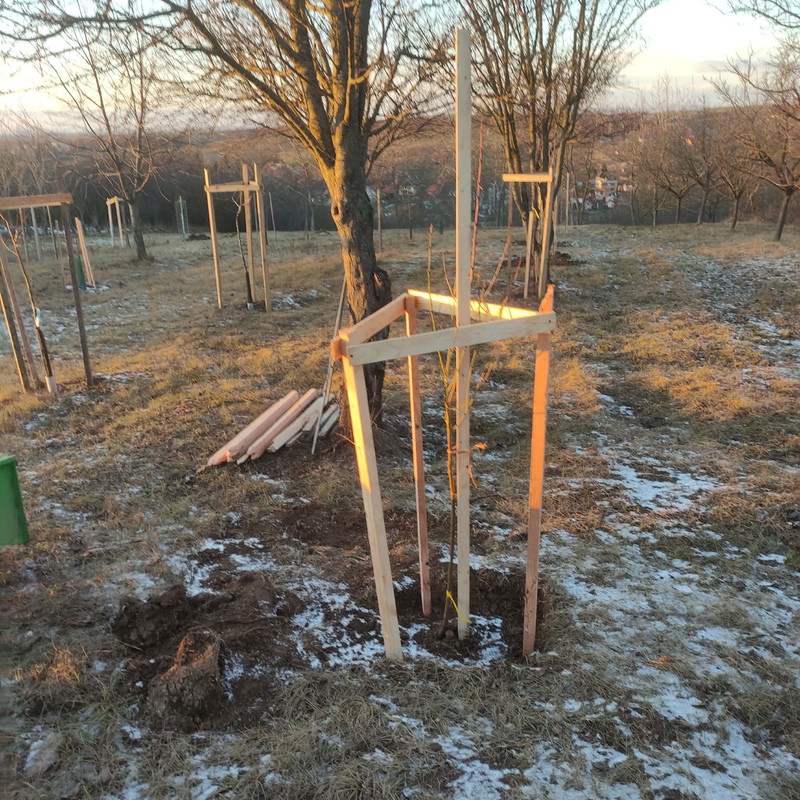 605383827 1370978088027017 2807029711000225656 n