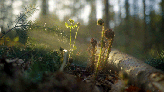a533dbb1e464fa87ca922031a413bdef.gif