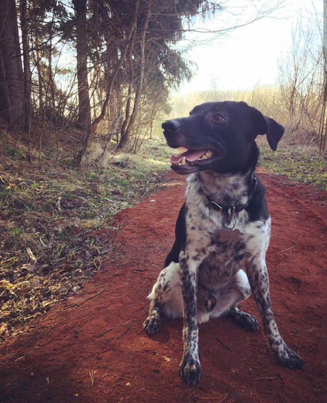 2A07A1B3-A409-48EB-981B-7E6EBBC1DD30