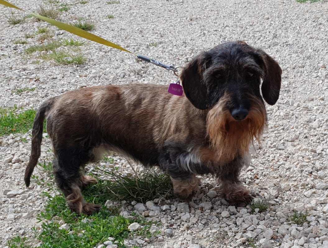 [Image: 20210710-090315.jpg]