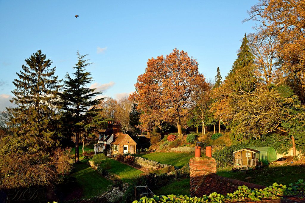 autumn-hat-house-HD.jpg