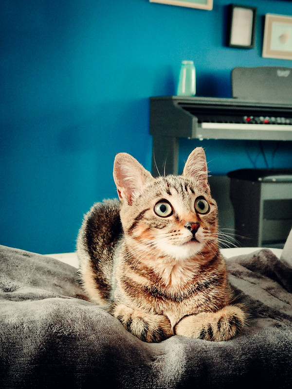 IMG20230222113214(1)