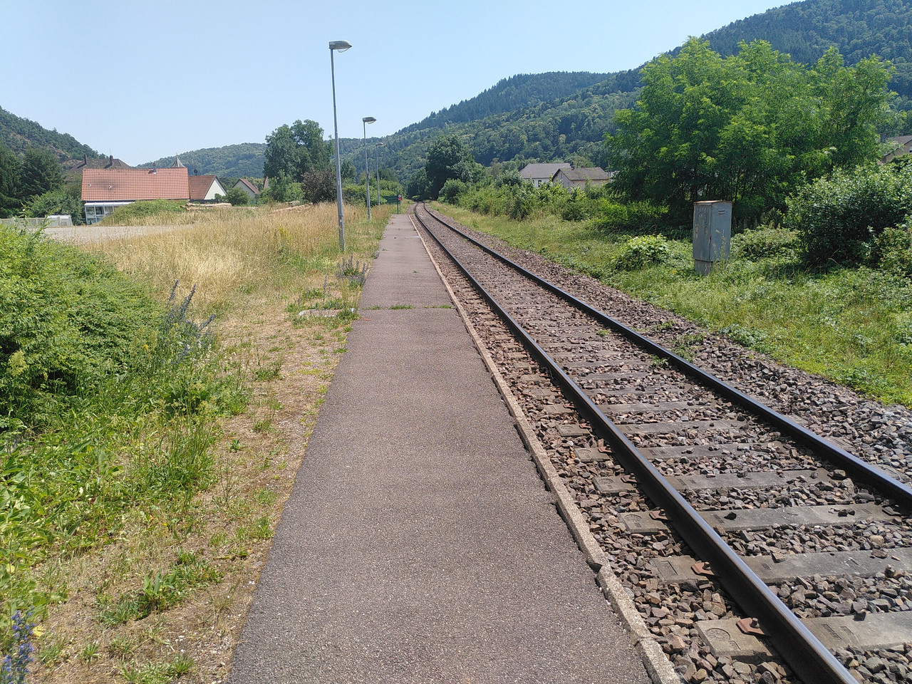 IMG 20260621 150157