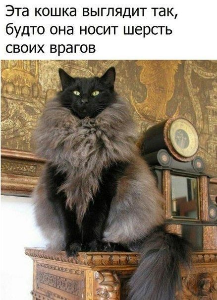 53f35d70c0a362758be74be9161ae0b7.jpg