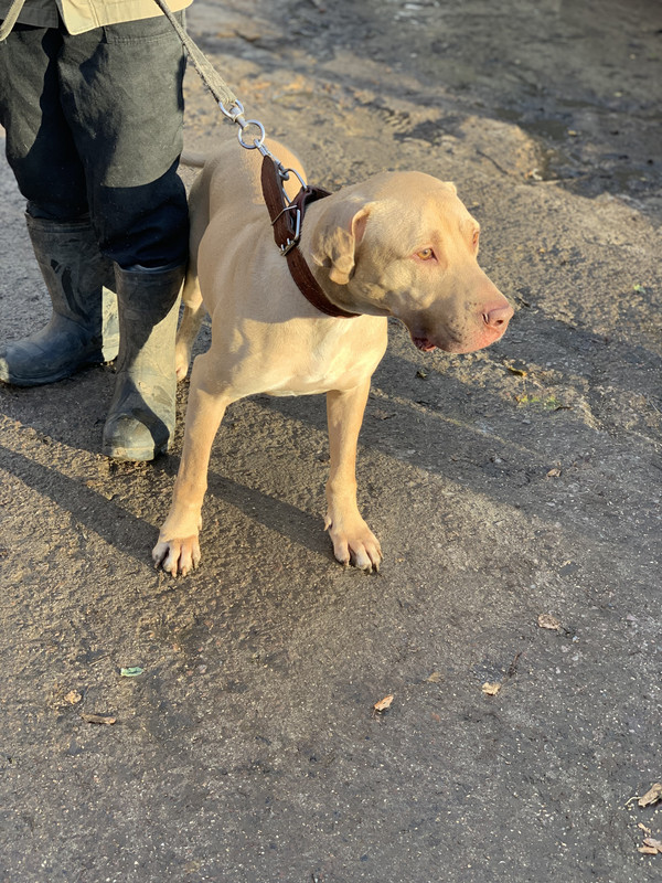 0446C548-A0B9-4A32-9279-694DEEAFBD0F