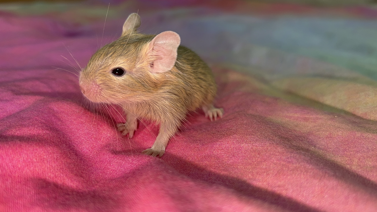 B328A392-9A96-4148-8F5C-34A425766207