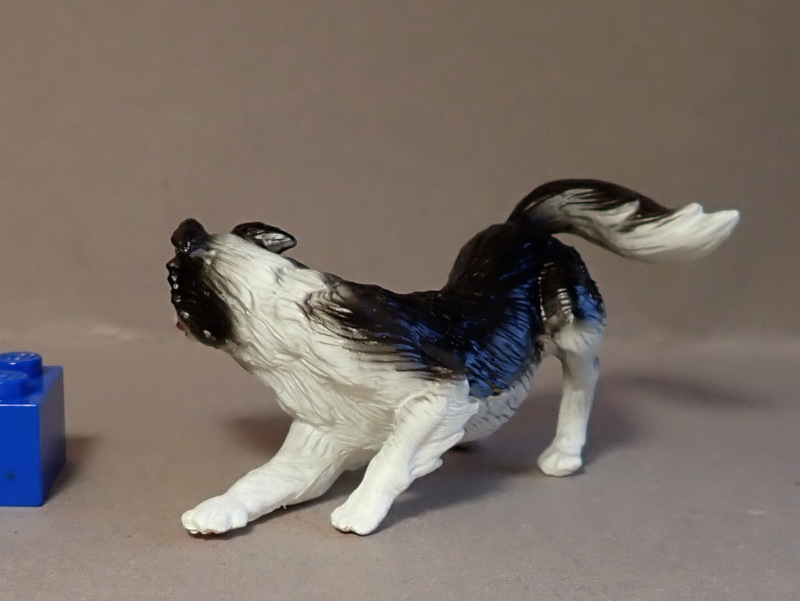 16 lovely small dog models from Eikoh 2021 :-) Eikoh79826-Border-C2