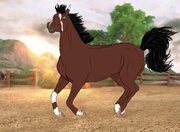 E53C05FE-5D8A-4162-9DA5-2DF3F324FA78