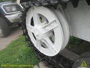 IMG-7803