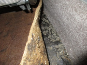 IMG-2636.jpg