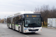 IMG-1846