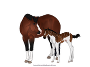 BF790847-EA15-4CEF-9533-14911FFD0313