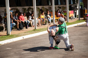 Foto8