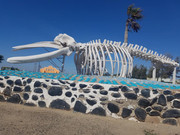 245031680_846586902682515_3793544766989705609_n