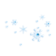 BC-ATaste-Of-Winter-El-27