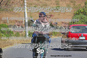 IMG-2556