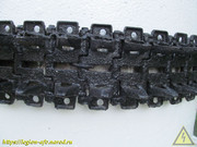 IMG-4562