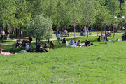 IMG-0504