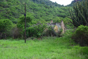 DSC-0228