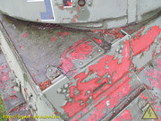 IMG-5146